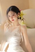  斯特兰蒂斯